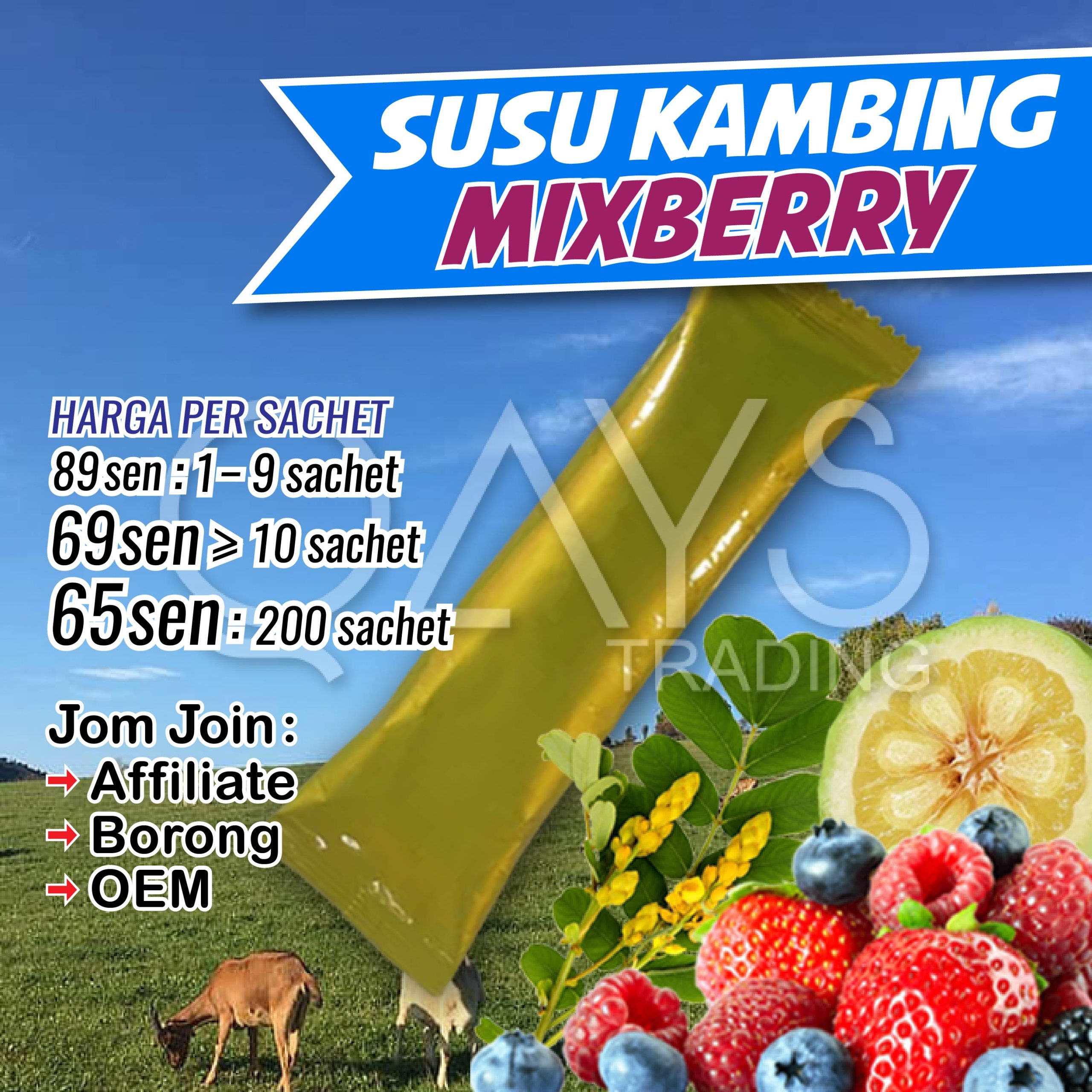 D1 Susu Kambing Mixberry