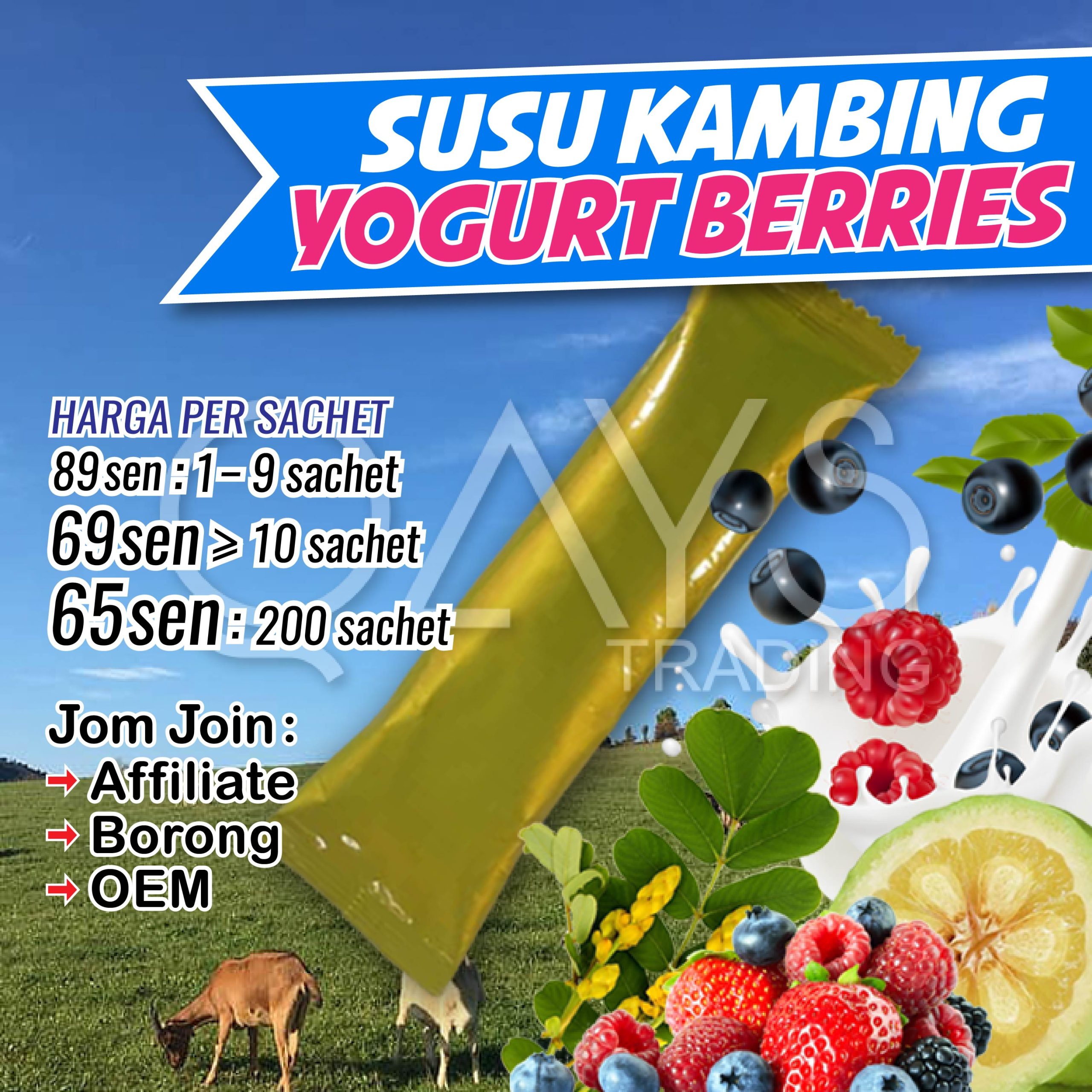 D2 Susu Kambing Yogurt Berries
