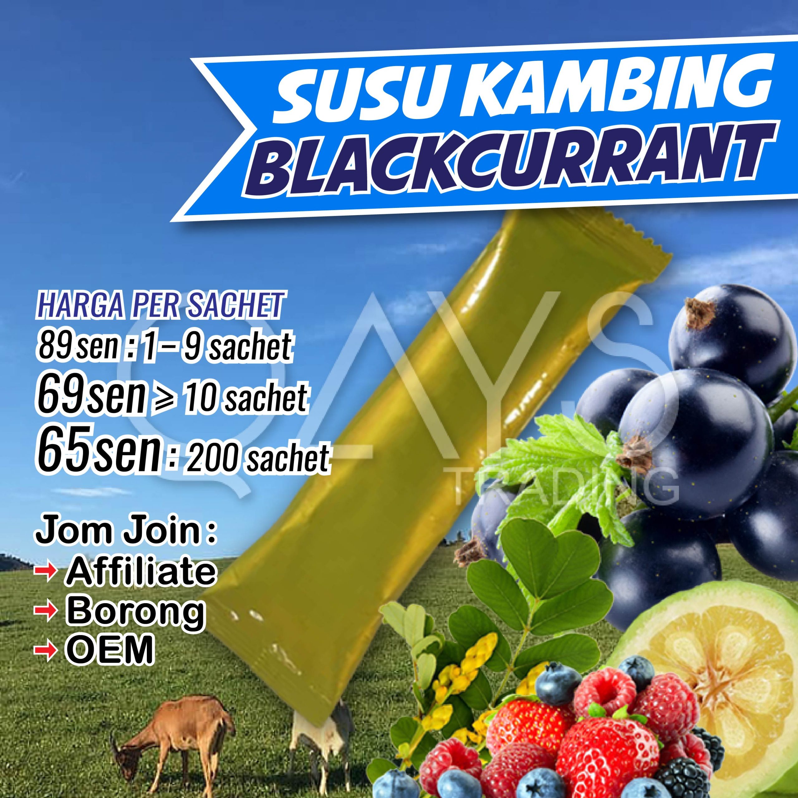 D3 Susu Kambing Blackcurrant