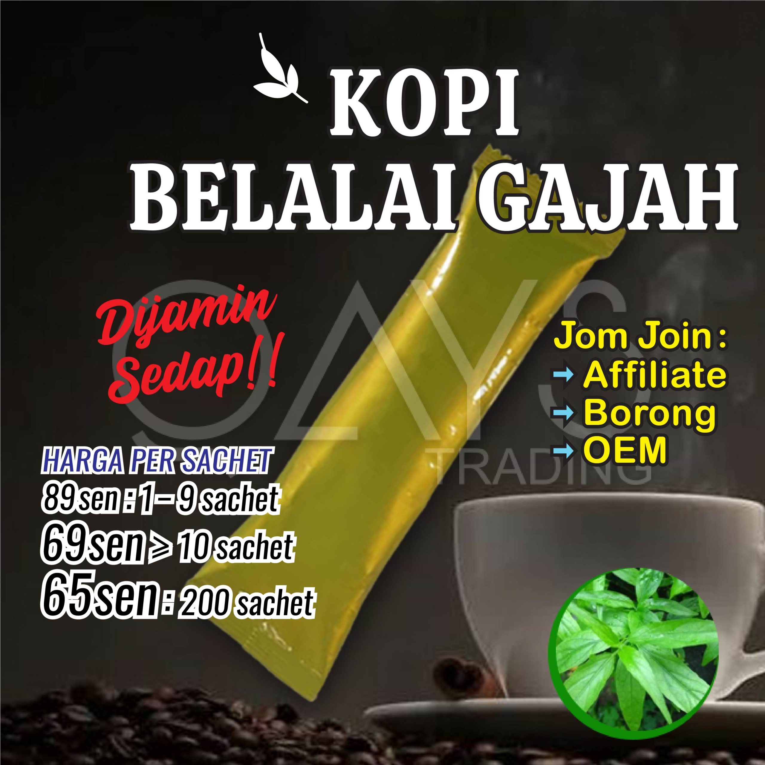 M10 Kopi Belalai Gajah