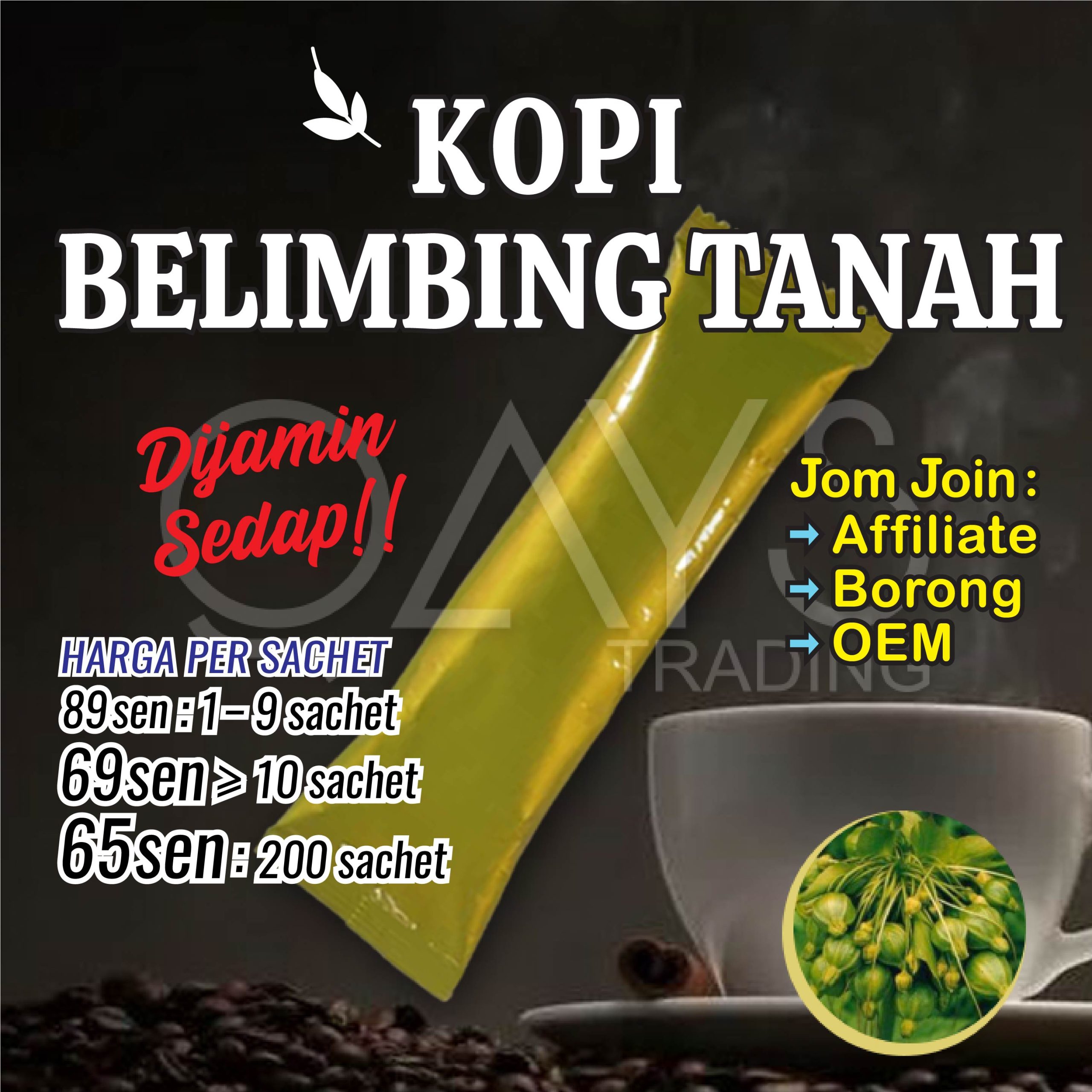 M12 Kopi Belimbing Tanah