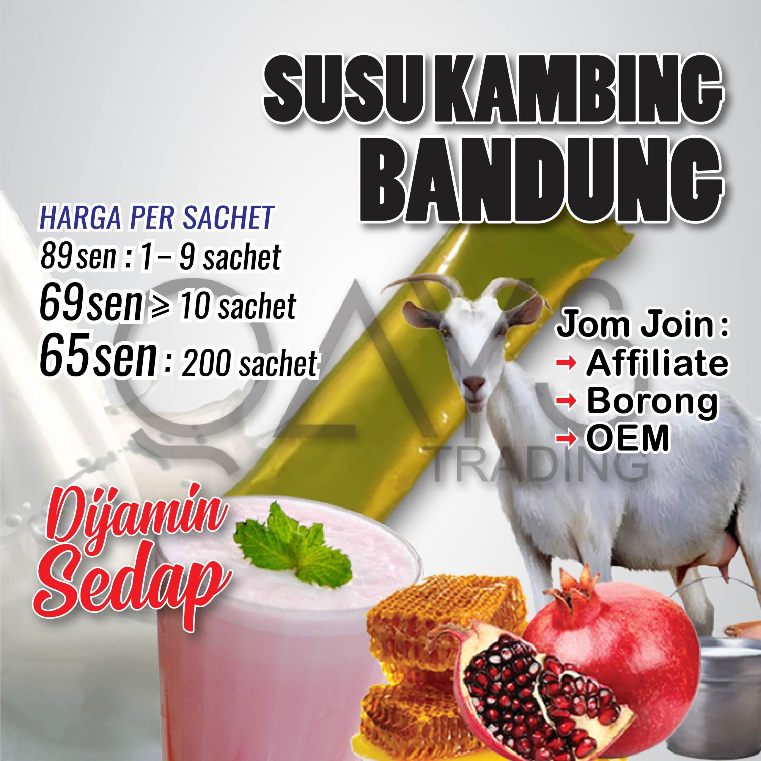 P4 Susu Kambing Bandung