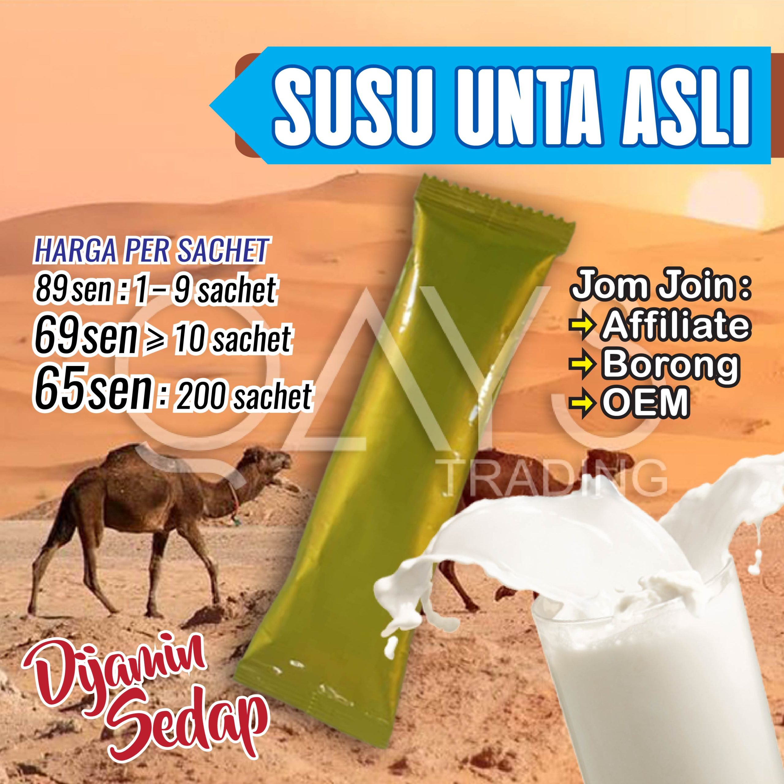 U10 Susu Unta Asli