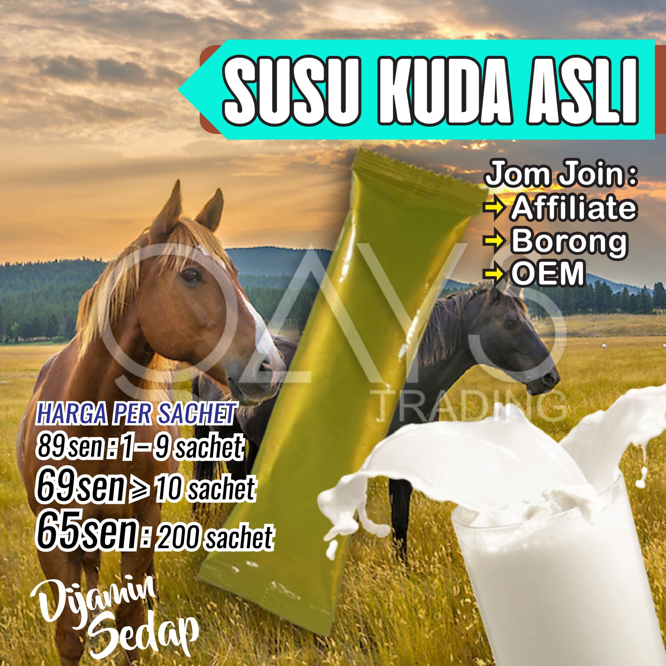 U12 Susu Kuda Asli
