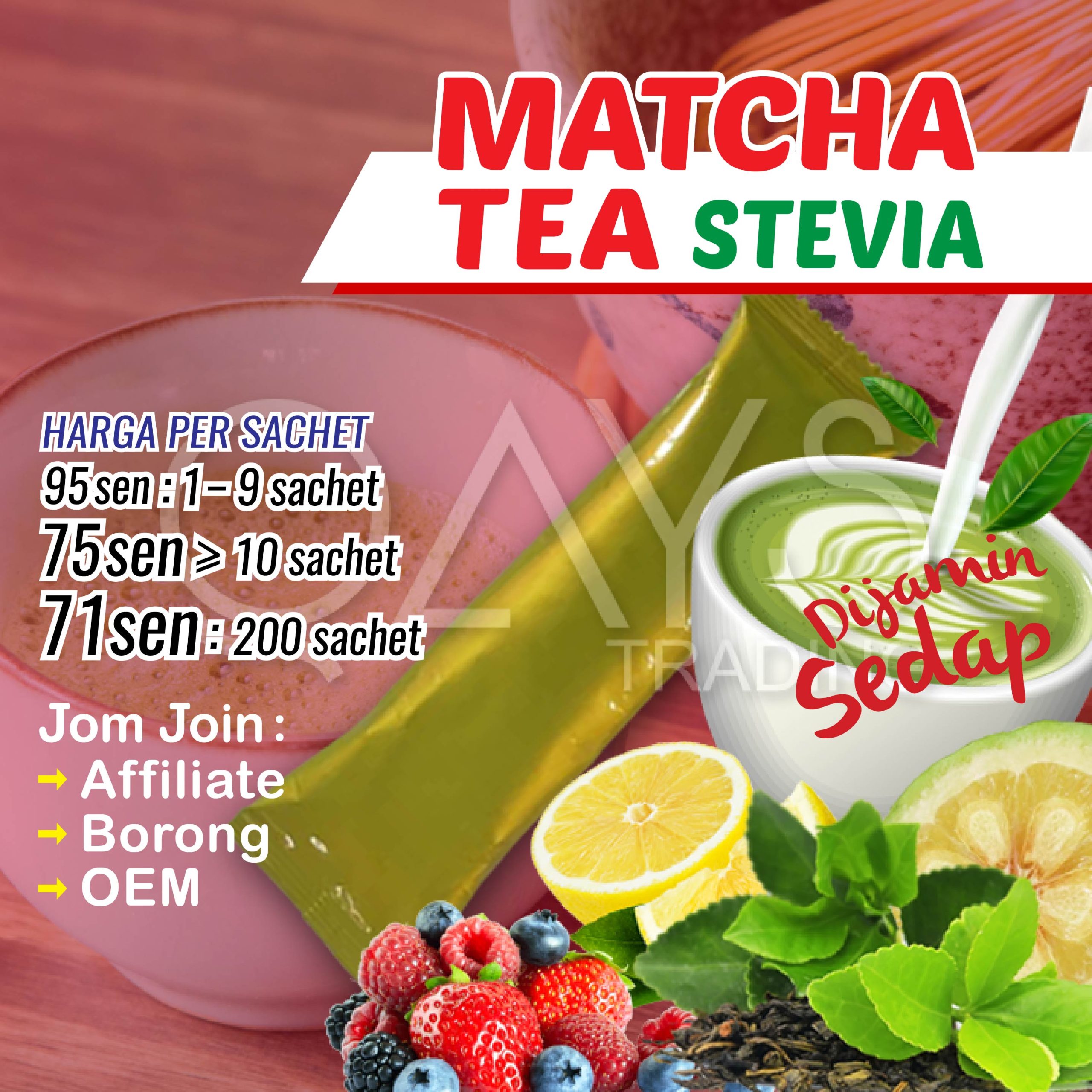 F18 Matcha Tea Stevia
