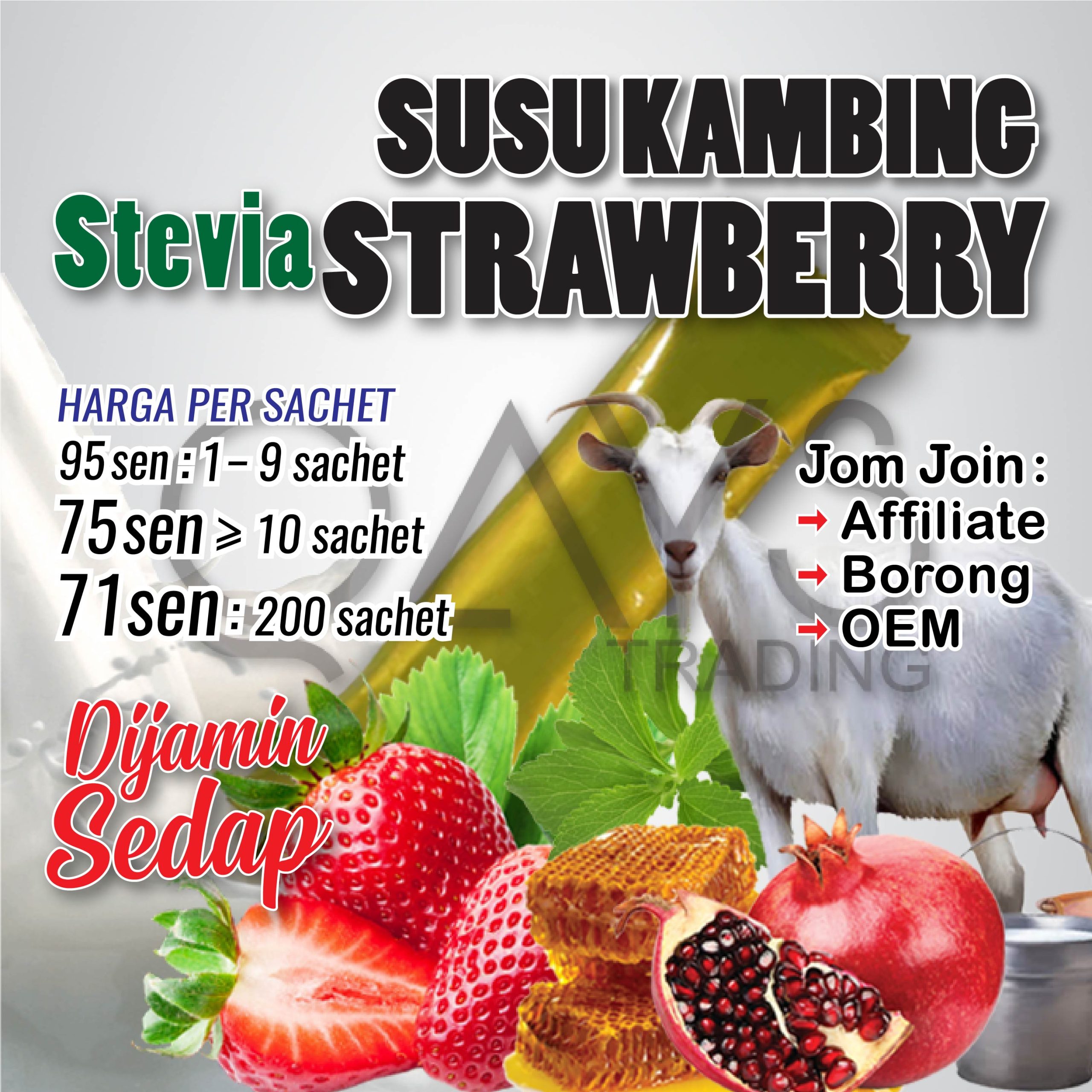 P13 Susu Kambing Stevia Strawberry
